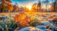 Der Deutsche Wetterdienst warnt vor leichtem Nachtfrost.