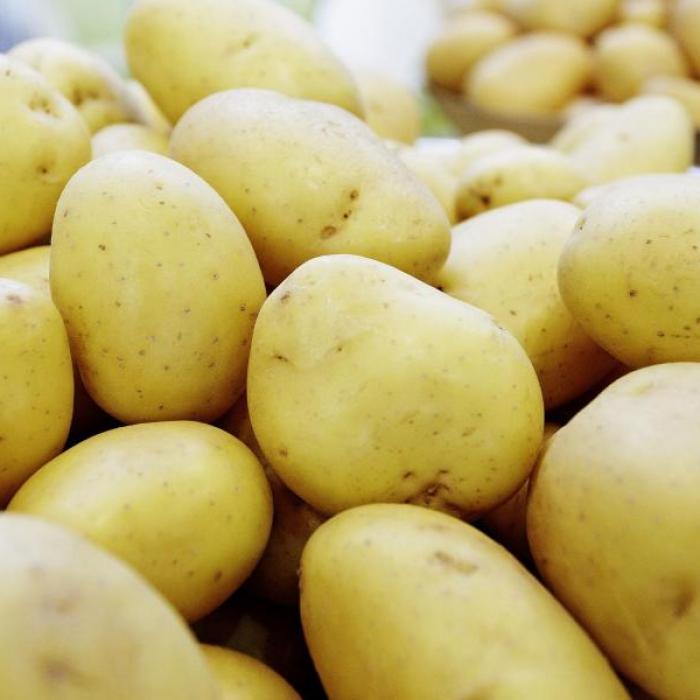 Achtung! DARUM warnt Stiftung Warentest vor Frühkartoffeln