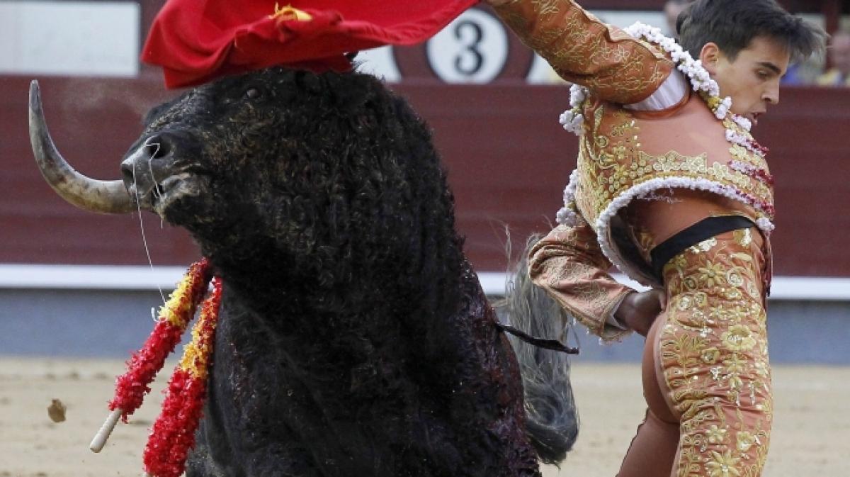 Der spanische Stierk&auml;mpfer Gonzalo Caballero, hier bei einem Stierkampf im Mai 2016, wurde von einem Stier aufgespie&szlig;t und lebensgef&auml;hrlich verletzt. (Foto)