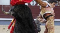 Der spanische Stierkämpfer Gonzalo Caballero, hier bei einem Stierkampf im Mai 2016, wurde von einem Stier aufgespießt und lebensgefährlich verletzt.