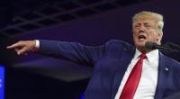 Donald Trump hat seinen irren Putin-Plan enthüllt.