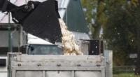 Erst Ende des vergangenen Jahres kam es zu Massenschlachtungen von Tieren in Deutschland aufgrund eines Vogelgrippe-Ausbruchs.