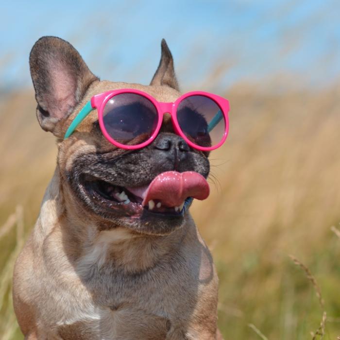 Endlich Sommer! HIER sind bis zu 30 Grad drin