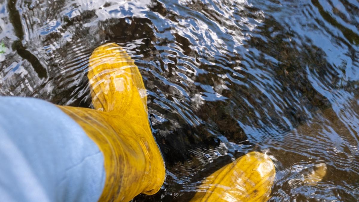 Meteorologen warnen vor &Uuml;berflutungen durch ergiebigen Dauerregen. (Foto)