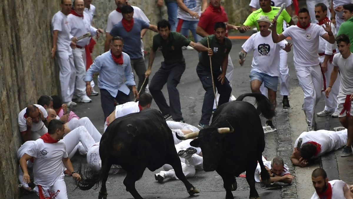 Jedes Jahr werden bei der Stierhatz in Pamplona unz&auml;hlige Menschen verletzte. (Foto)