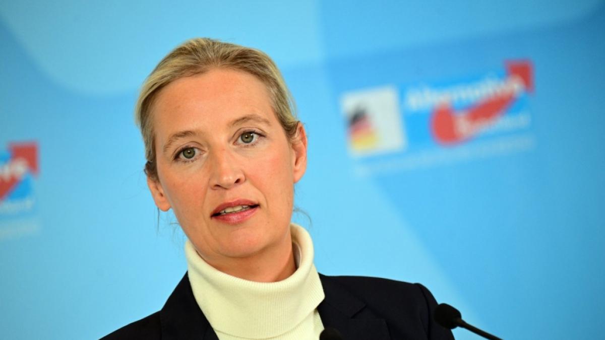 AfD-Chefin Alice Weidel stellt immer wieder Strafanzeigen wegen Beleidigungen. (Foto)