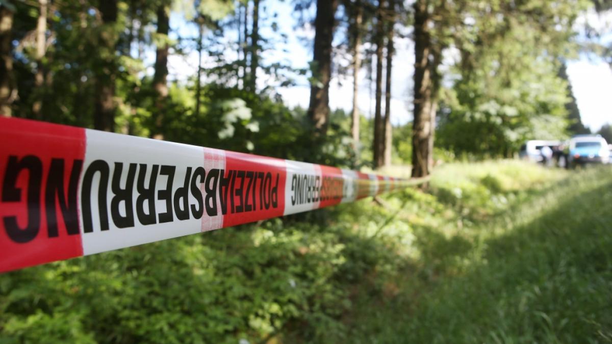 Polizeiabsperrung nach einer Straftat in einem Waldst&uuml;ck (Symbolbild) (Foto)
