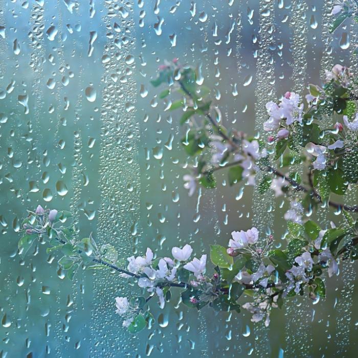 Regen-Kracher im Wonnemonat! Fällt der Frühling jetzt ins Wasser?