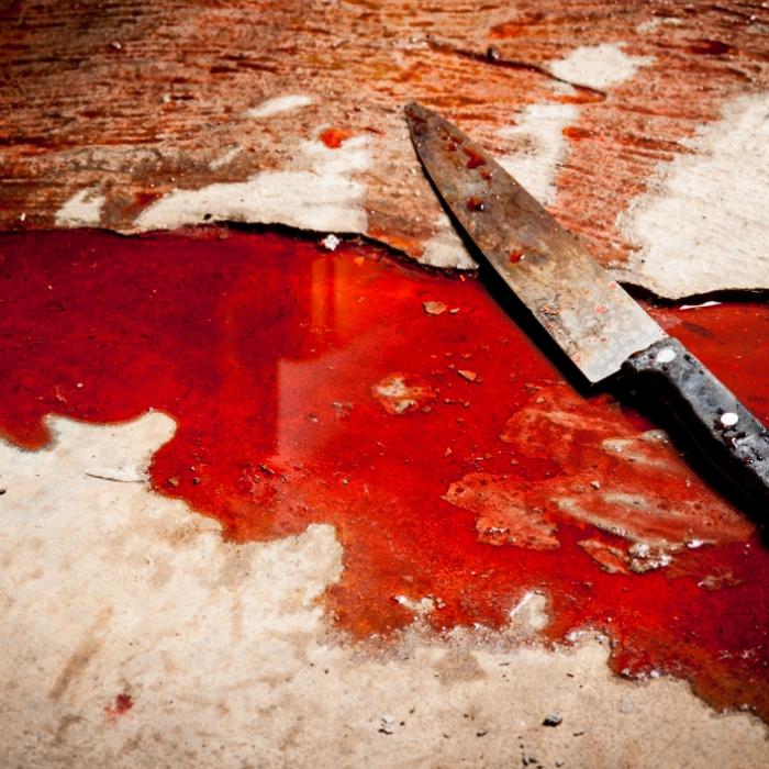 Schwangere (36) erstochen aufgefunden - war es eine Beziehungstat?
