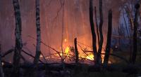 In einem munitionsbelasteten Gebiet bei Jüterbog (Landkreis Teltow-Fläming) ist ein Waldbrand ausgebrochen.