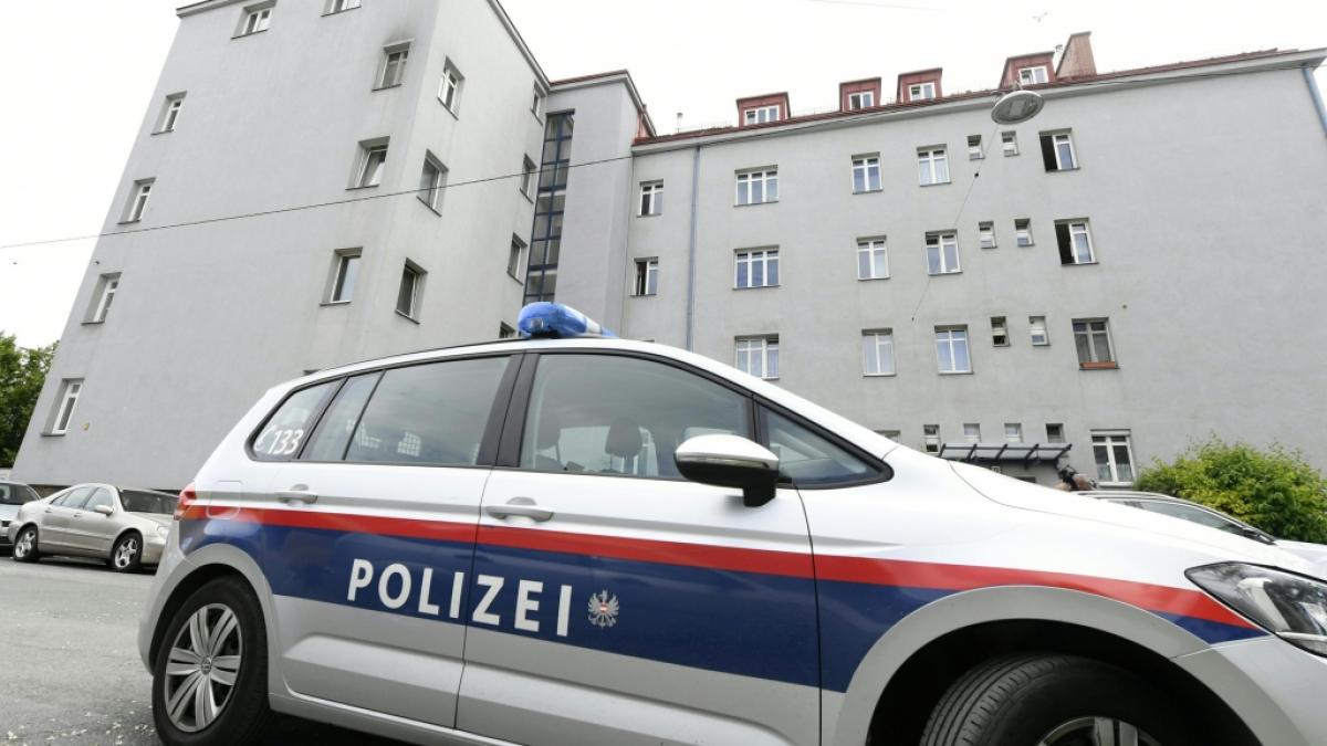Den Mord an einer hochschwangeren Mutter untersucht die Polizei in K&auml;rnten. (Symbolbild) (Foto)