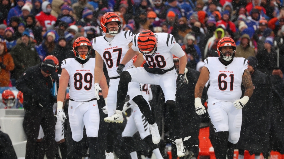 Die Cincinnati Bengals zelebrieren im Schnee, am 07.12.2025. (Symbolbild) (Foto)