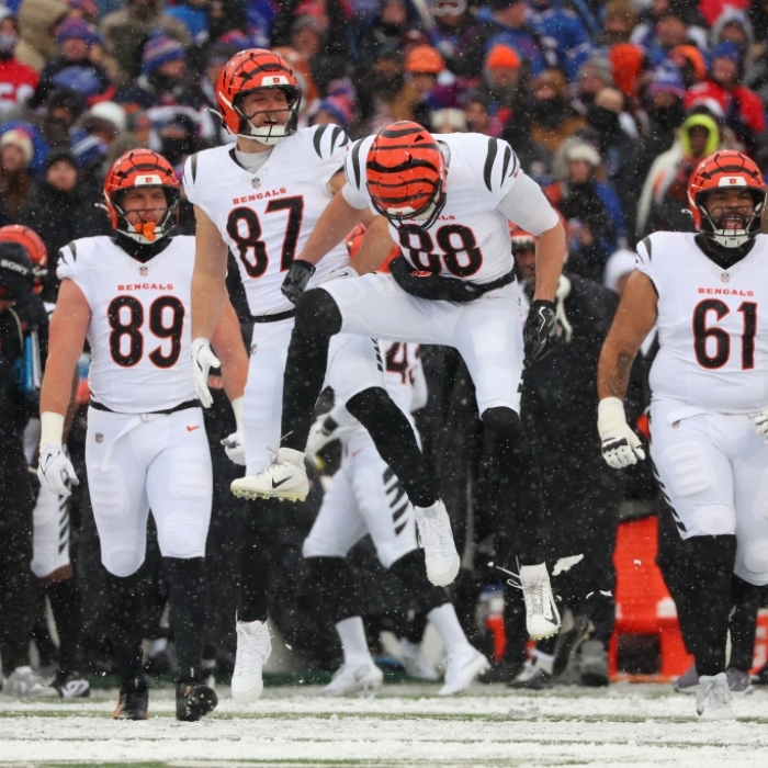 Cincinnati Bengals vs. Baltimore Ravens im kostenlosen Free-TV