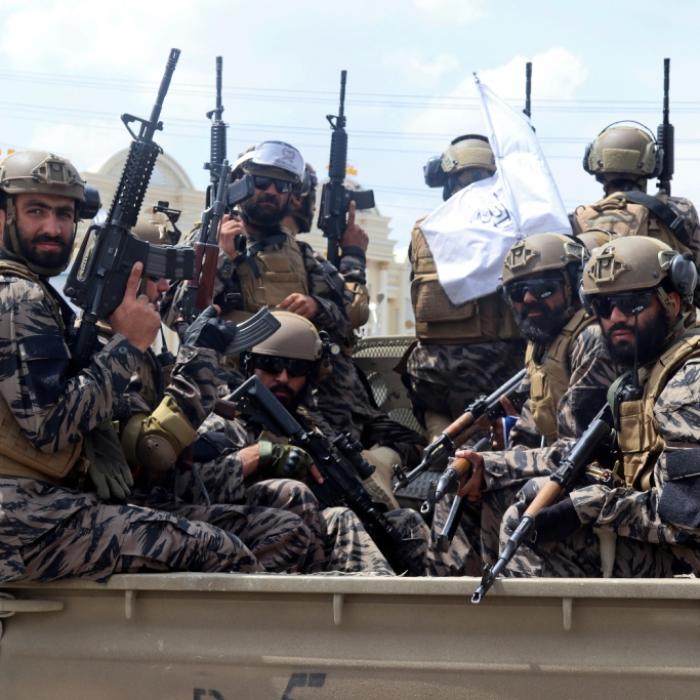Trauriges Hunde-Schicksal unter Taliban! Streunern droht der Tod