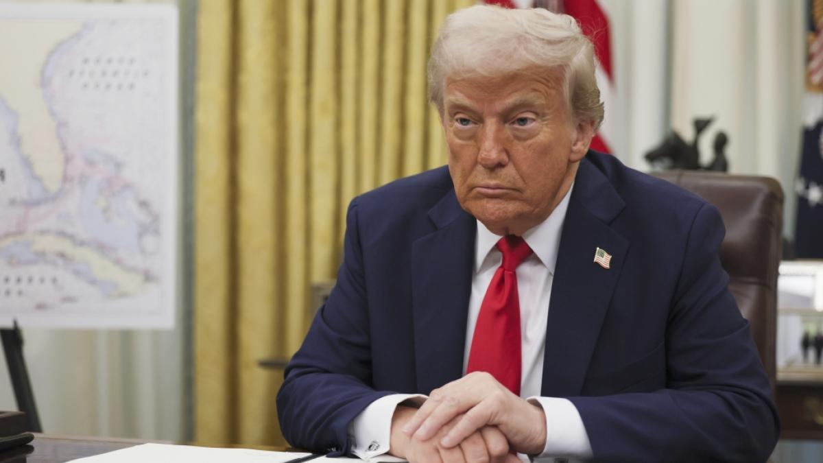 Donald Trump will einen knapp 200 Jahre alten Baum am Wei&szlig;en Haus f&auml;llen lassen. (Foto)