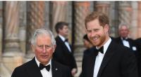 Das Archivfoto zeigt König Charles III. und Prinz Harry im Jahr 2019.