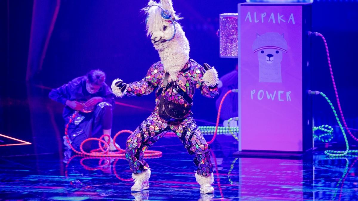 Wer steckt bei "The Masked Singer" unter der Alpaka-Maske? (Foto)