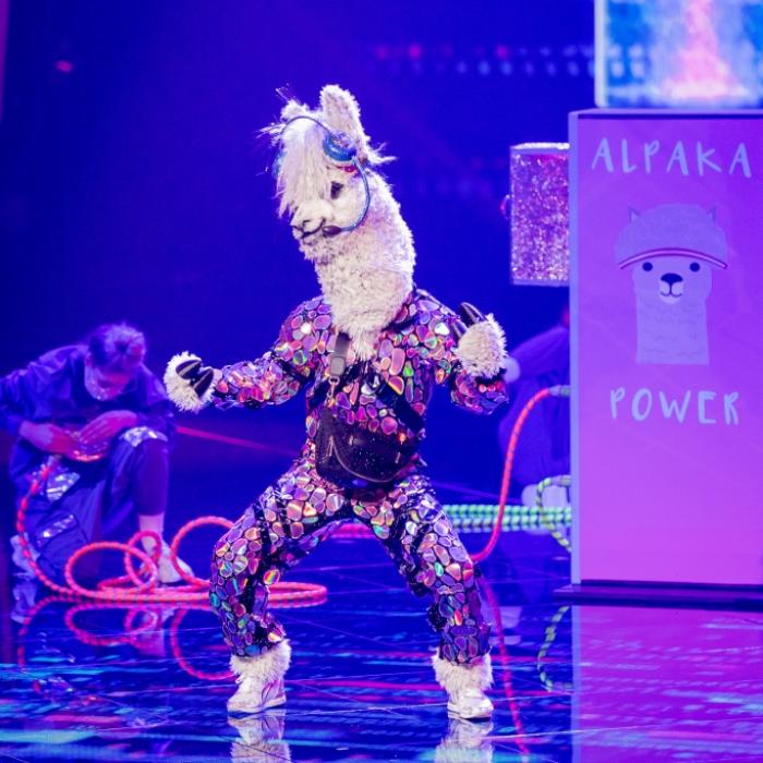Maske gelüftet! DIESER Insta-Star steckt unter der Alpaka-Maske