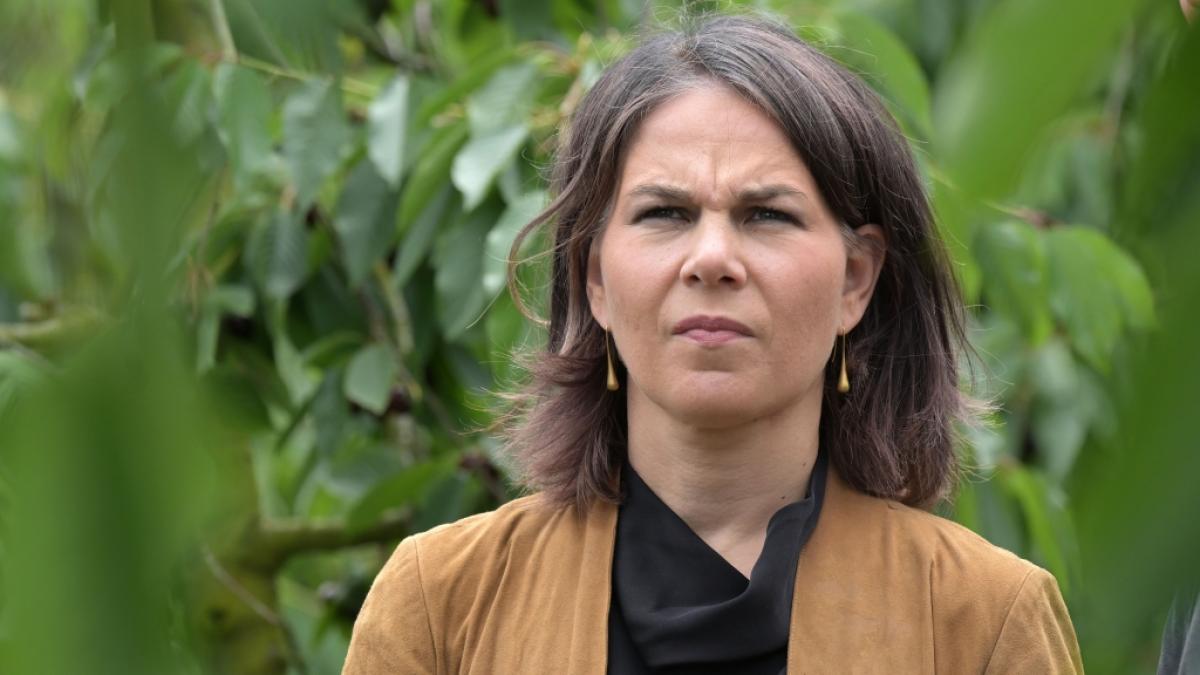 Verplempert das Ausw&auml;rtige Amt Steuergelder? (Foto)