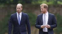 Prinz William und Prinz Harry kommen zur Enthüllung einer Statue ihrer Mutter Prinzessin Diana.