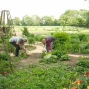 Die Ruwi Multiharke soll die Gartenarbeit wesentlich einfacher machen.