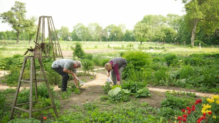 Die Ruwi Multiharke soll die Gartenarbeit wesentlich einfacher machen.