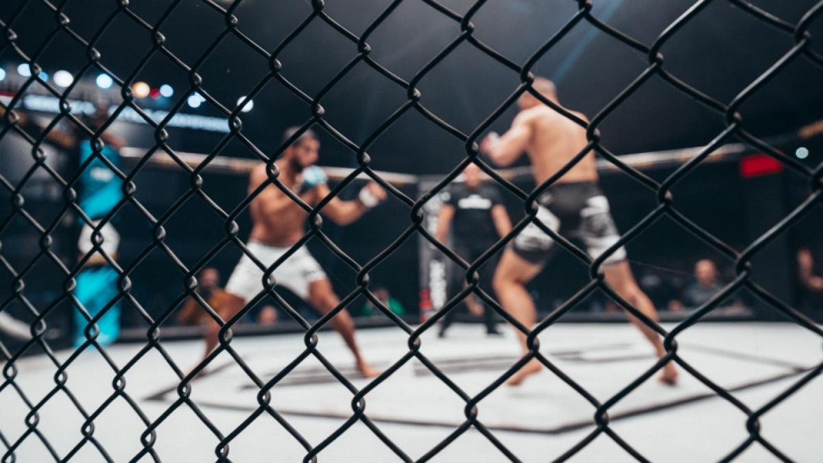 Bei UFC 302 kommt es zum Clash zwischen Islam Makhachev und Dustin Poirier. (Foto)