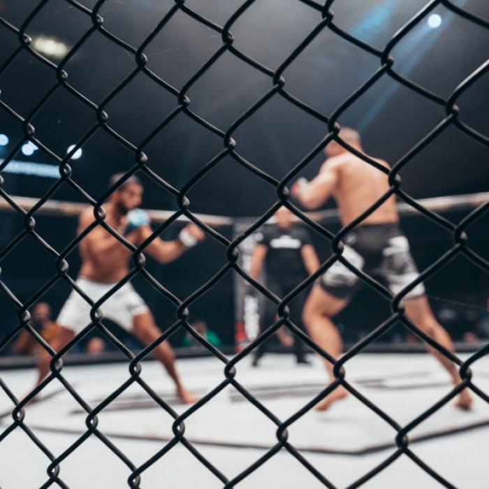 Leichtgewichts-Champ Makhachev fertigt Herausforderer Poirier ab