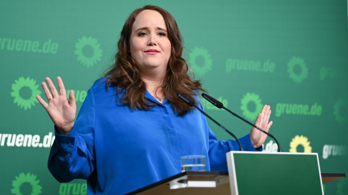 Ex-Gr&uuml;nen-Chefin Ricarda Lang legt nach dem Ampel-Bruch bei Twitter nach und kritisiert die FDP. (Foto)