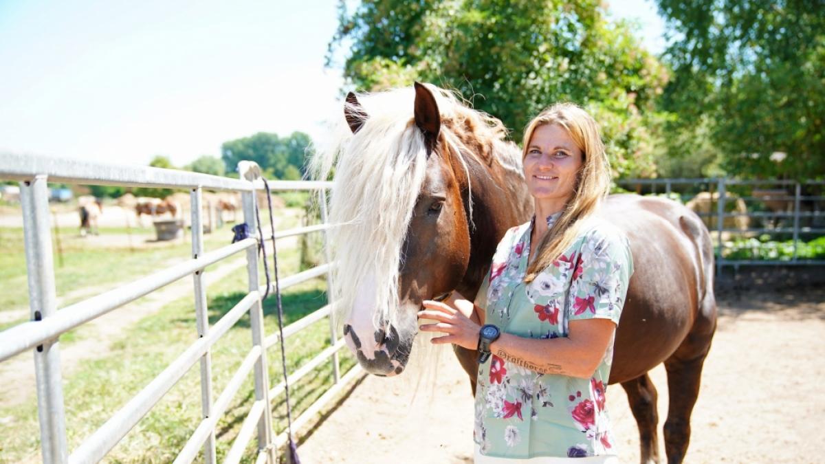 Kandidat Sven wollte in der neuen "Bauer sucht Frau"-Staffel um Pferdewirtin Loretta (32) k&auml;mpfen. (Foto)