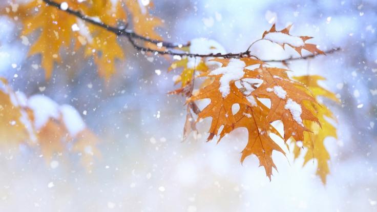 Am Wochenende sorgt Polarluft für kaltes Oktober-Wetter.