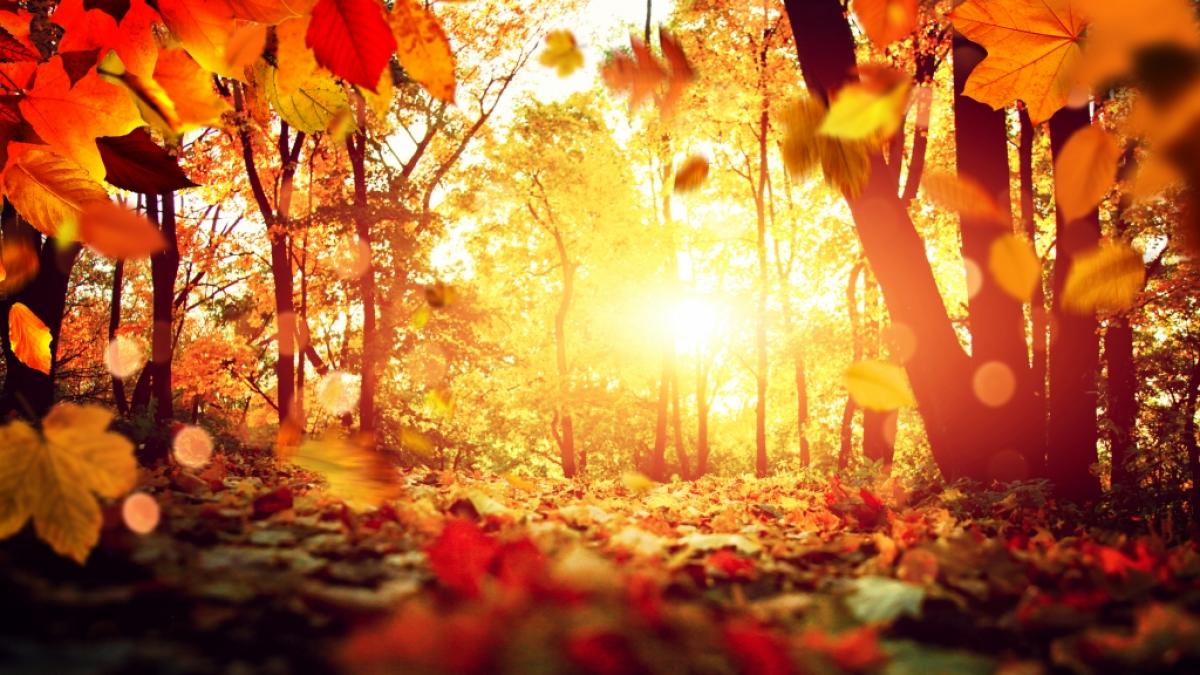 Wie wird das Wetter im Oktober 2025? Der Hundertj&auml;hrige Kalender gibt eine m&ouml;gliche Prognose. (Foto)