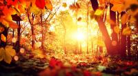 Wie wird das Wetter im Oktober 2025? Der Hundertjährige Kalender gibt eine mögliche Prognose.