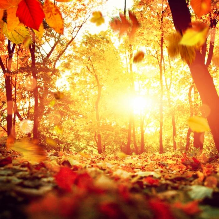 Schnee im Oktober? Das sagt der 100-jährige Kalender voraus