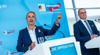 Die AfD hat im Insa-Sonntagstrend erneut zugelegt und den höchste Zustimmungswert seit Mai 2025 erreicht.
