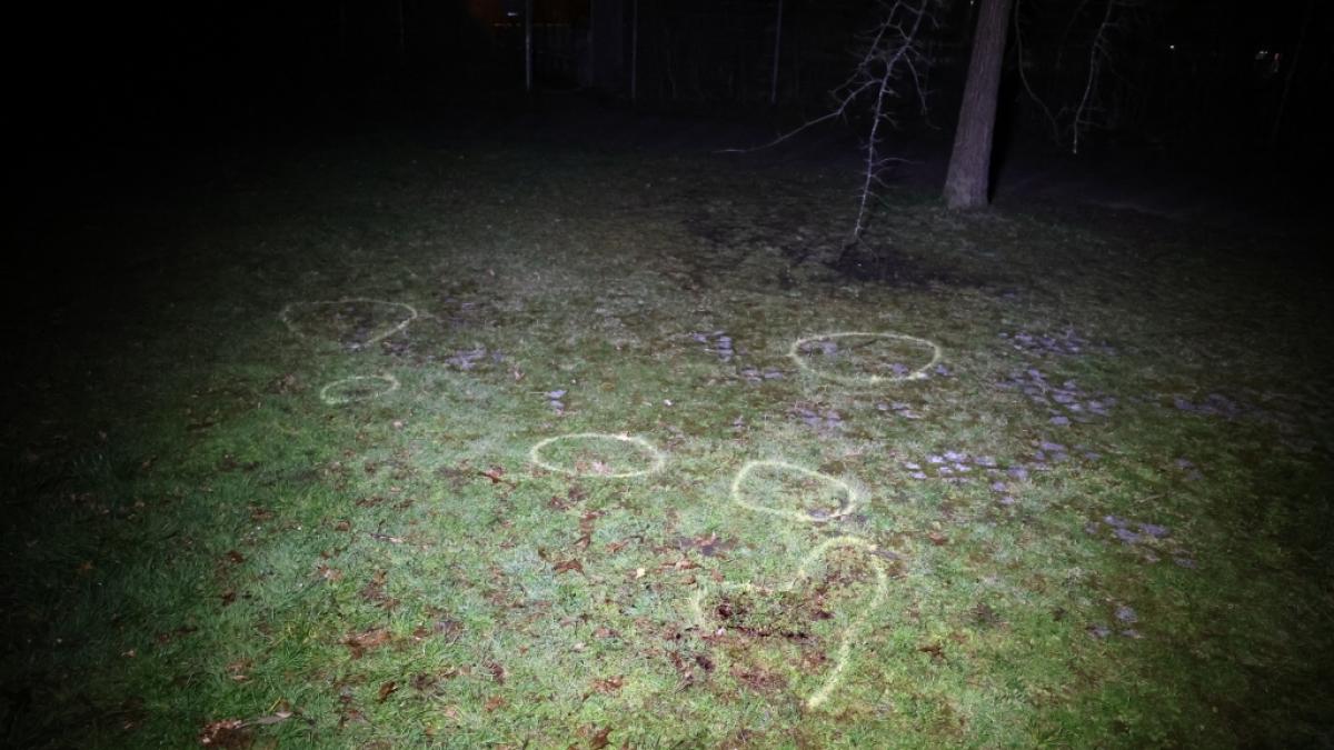 Auf dieser Gr&uuml;nfl&auml;che eines Schulzentrums in Ulm-Wiblingen fand ein siebenj&auml;hriges M&auml;dchen am Ostermontag den Tod - der Stiefvater des Kindes gestand, seine Tochter umgebracht zu haben. (Foto)
