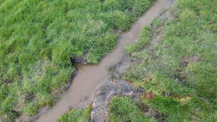 Die Umrisse des Körpers von Lars Wunder auf einer Wiese in Midlum. Ein Landwirt hat die Leiche des 31-Jährigen am 12. April 2016 gefunden.
