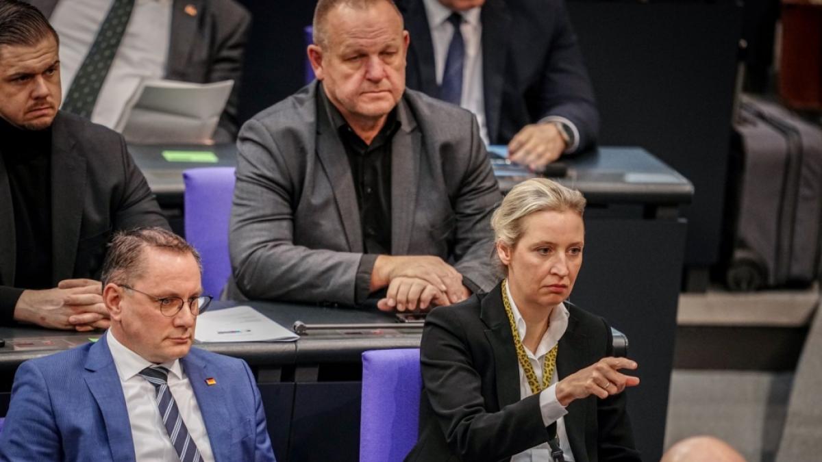AfD-Chefs Alice Weidel und Tino Chrupalla erleben die n&auml;chste Umfrage-Klatsche. (Foto)