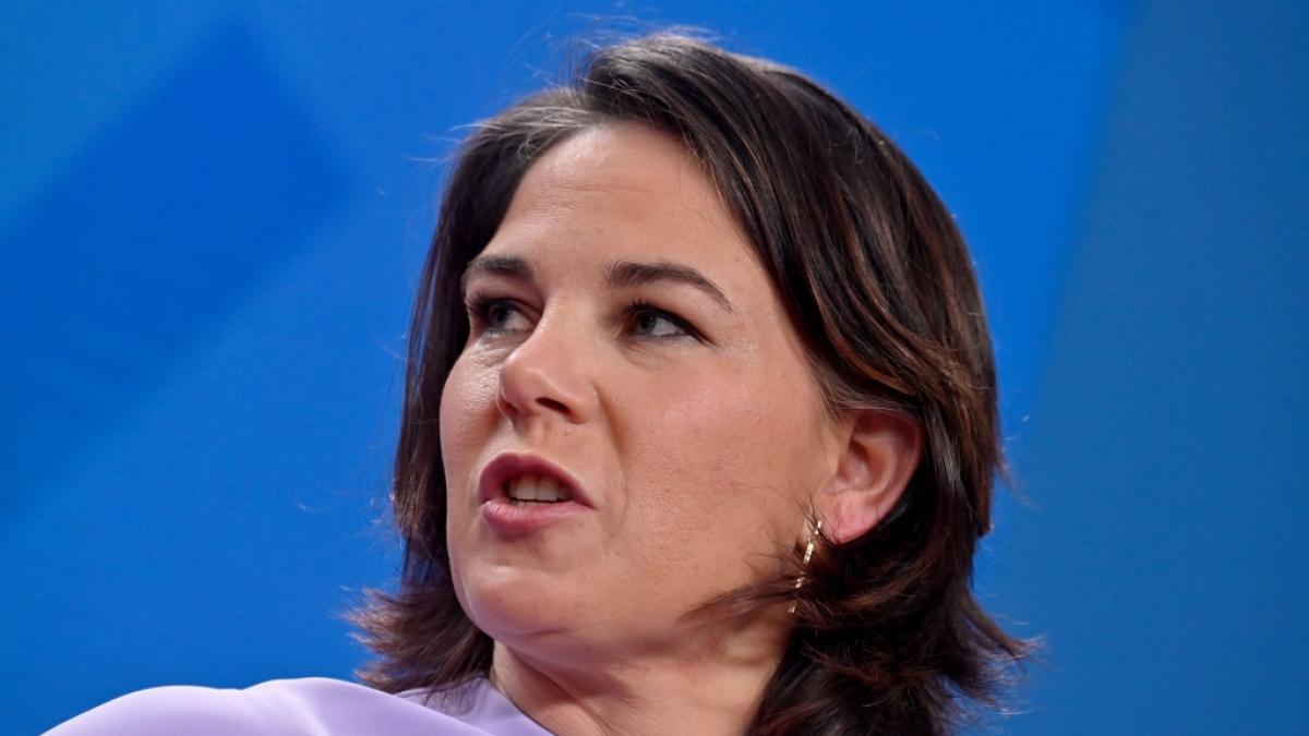 Annalena Baerbocks neue Personalie st&ouml;&szlig;t auf heftige Kritik. (Foto)