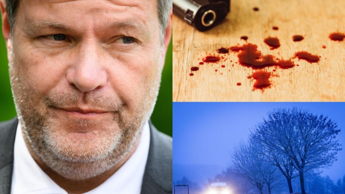 Die News des Tages am 11.12.2022 mit Schlagzeilen zu Robert Habeck, Glatteis-Unf&auml;llen und Tod von beliebter Influencerin. (Foto)