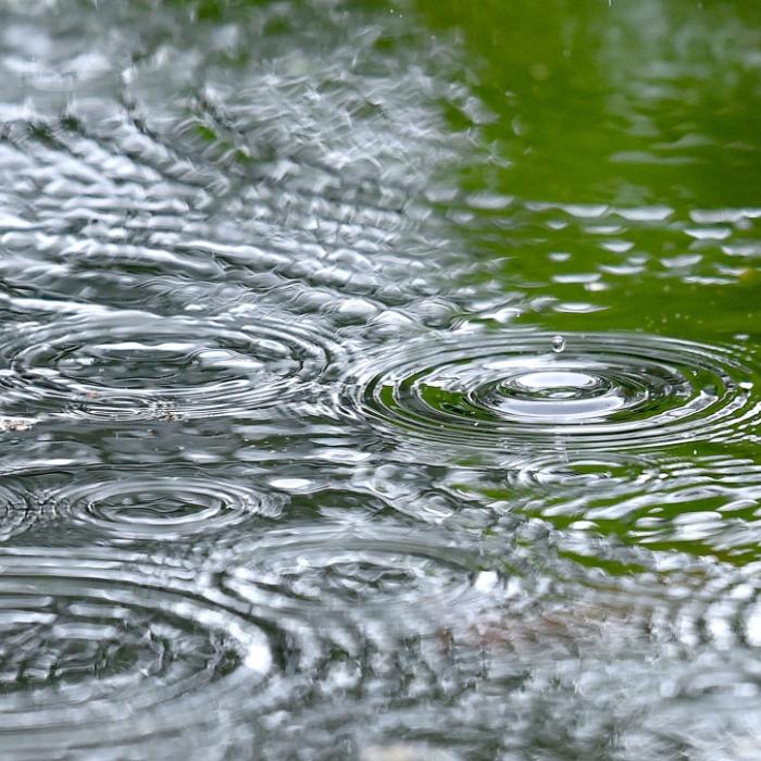 Frühling, wo bleibst du? Schmuddel-Wetter-Mix sorgt für düstere Aussichten