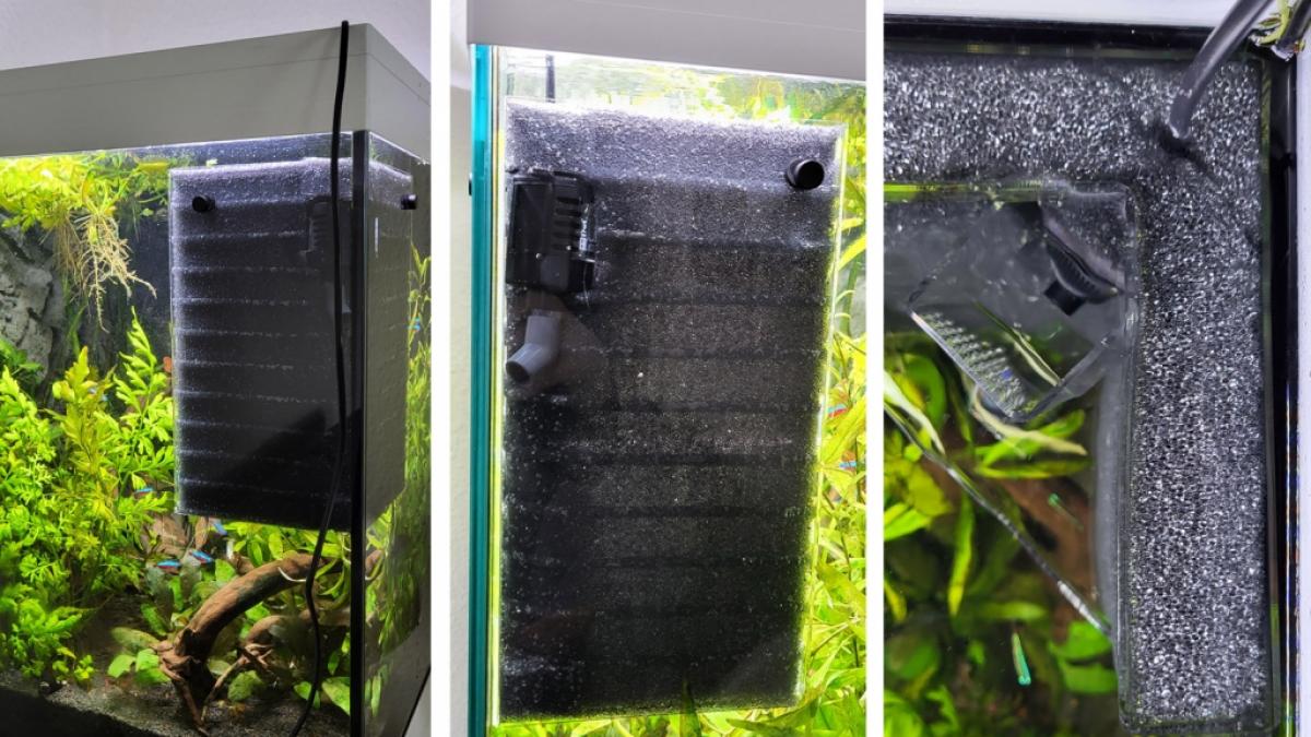Der Einbau von Aquakallax im Test-Aquarium war extrem einfach. (Foto)