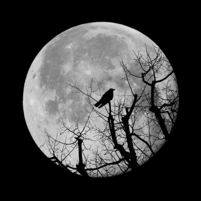 Krähenmond als böses Omen? DAS steckt hinter dem März-Mond