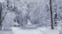 Droht uns ein eiskalter Dezember mit jede Menge Schnee?