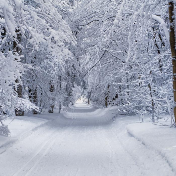 20 Zentimeter Neuschnee! Wetterdienst warnt vor Schneebombe