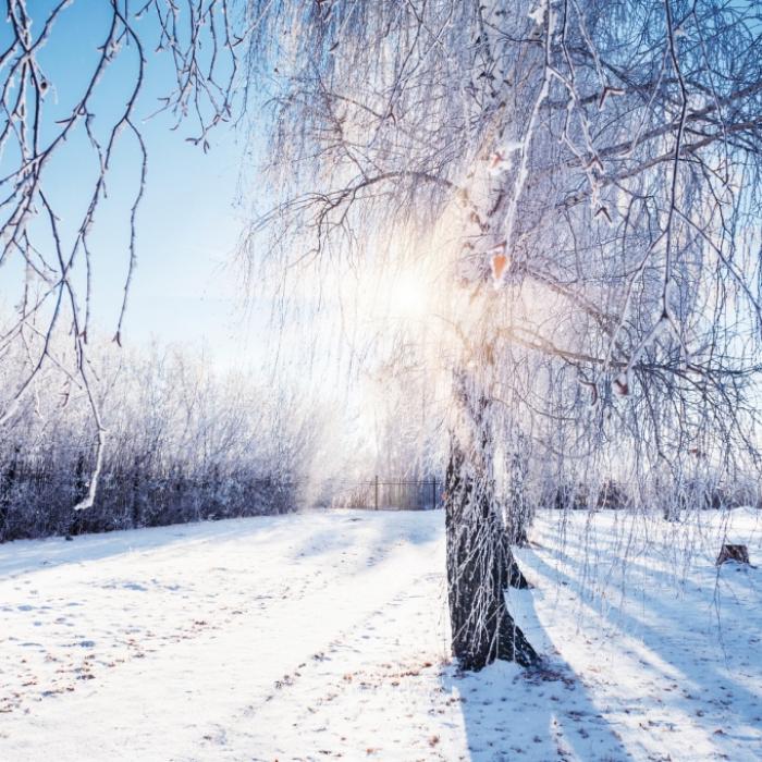 Weiße Weihnachten? DAS sagen die Meteorologen jetzt schon voraus