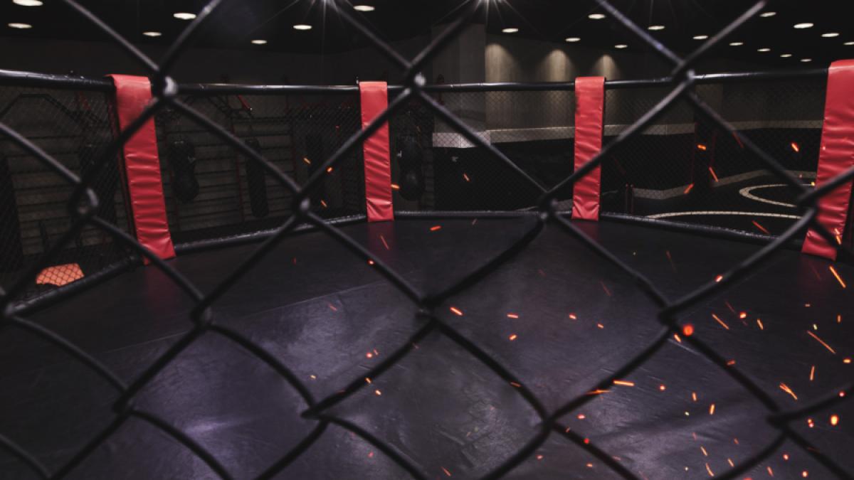 Wer schnappt sich den Sieg bei UFC 296? (Foto)