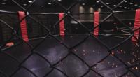 Wer schnappt sich den Sieg bei UFC 296?
