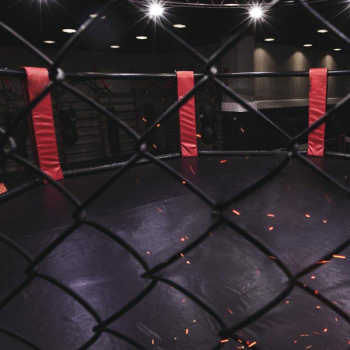 Titel verteidigt! Edwards besiegt Covington in Käfig-Schlacht