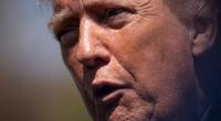 Am 13. Juli 2024 gab es ein Attentat auf Donald Trump in Butler, Pennsylvania. Seitdem häufen sich im Internet die Gerüchte.